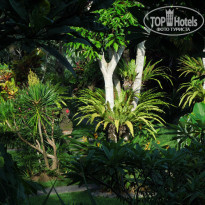 фото из отзыва ID 1680304