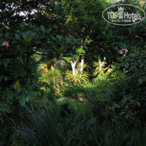 фото из отзыва ID 1680304