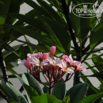 фото из отзыва ID 1680304