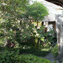 фото из отзыва ID 1680304