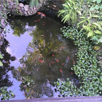 фото из отзыва ID 1680304