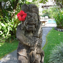 фото из отзыва ID 1680304