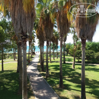 фото из отзыва ID 1680325