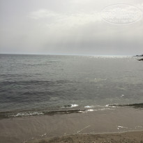 фото из отзыва ID 1680368