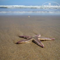 фото из отзыва ID 1680429