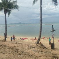 фото из отзыва ID 1680472