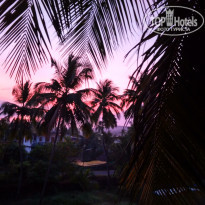 фото из отзыва ID 1680496