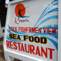 фото из отзыва ID 1680480