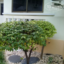 фото из отзыва ID 1680538