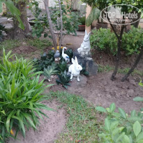 фото из отзыва ID 1680538