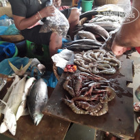 фото из отзыва ID 1680268