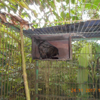 фото из отзыва ID 1680164