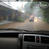 фото из отзыва ID 1680164