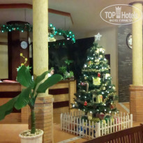 фото из отзыва ID 1680978