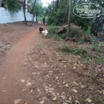 фото из отзыва ID 1681036