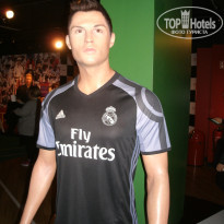 фото из отзыва ID 1681150