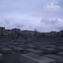 фото из отзыва ID 1681150