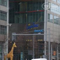 фото из отзыва ID 1681150