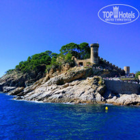 фото из отзыва ID 1681061