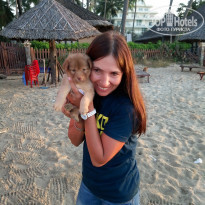 фото из отзыва ID 1681329