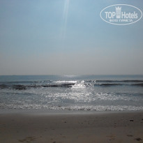 фото из отзыва ID 1681332