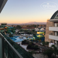 фото из отзыва ID 1681347