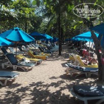 фото из отзыва ID 1680894