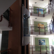 фото из отзыва ID 1681411