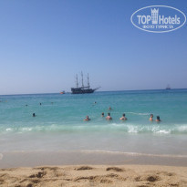 фото из отзыва ID 1681411