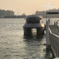 фото из отзыва ID 1681424