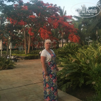 фото из отзыва ID 1681439