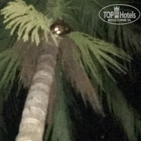 фото из отзыва ID 1681439