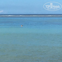 фото из отзыва ID 1681439