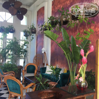 фото из отзыва ID 1681439