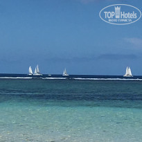 фото из отзыва ID 1681439