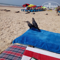 фото из отзыва ID 1681486