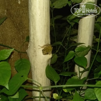 фото из отзыва ID 1681505