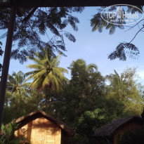 фото из отзыва ID 1681505