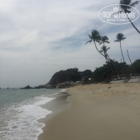 фото из отзыва ID 1680783