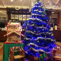 фото из отзыва ID 1681738