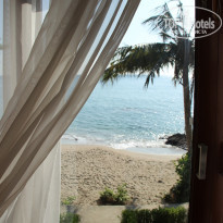 фото из отзыва ID 1681803