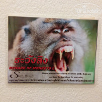 фото из отзыва ID 1681803