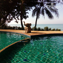 фото из отзыва ID 1681803