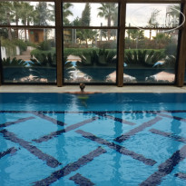 фото из отзыва ID 1681820