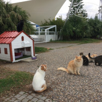 фото из отзыва ID 1681820