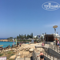 фото из отзыва ID 1681849