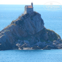 фото из отзыва ID 1681919