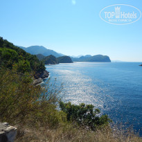 фото из отзыва ID 1681919