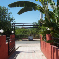 фото из отзыва ID 1681977