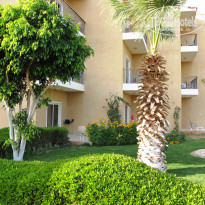 фото из отзыва ID 1682009